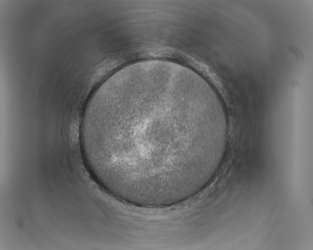 X0000110980010200907101419