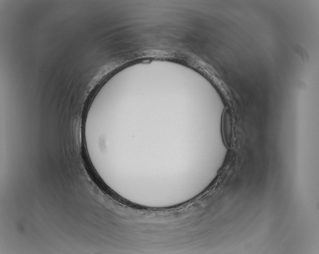 X0000110980011200907101419