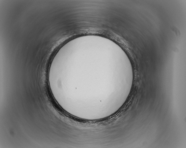 X0000110980012200907101419