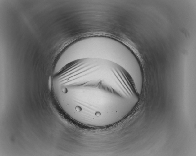 X0000110980013200907101419