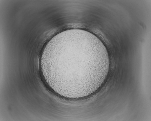 X0000110980014200907101419