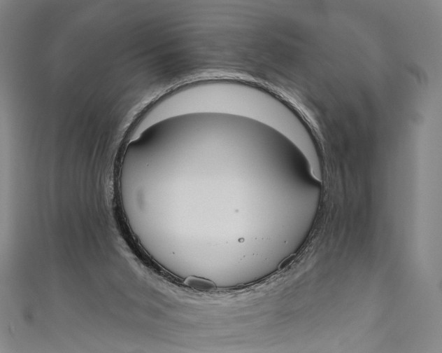 X0000110980015200907101419