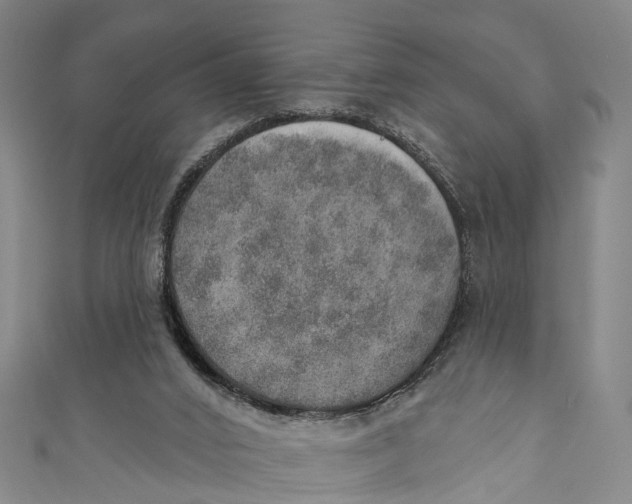 X0000110980016200907101419