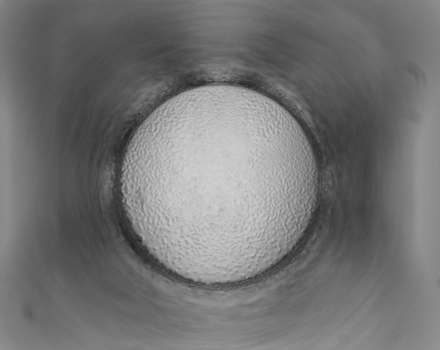 X0000110980018200907101419