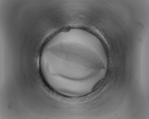 X0000110980019200907101419