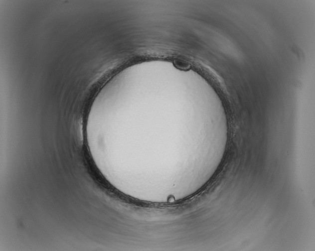 X0000110980020200907101419