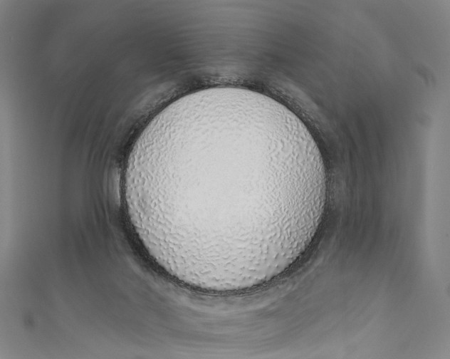 X0000110980022200907101419