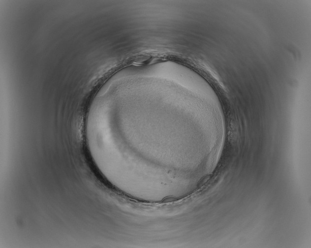 X0000110980023200907101419