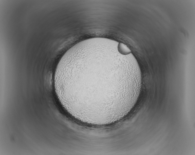 X0000110980024200907101419