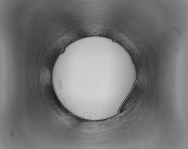 X0000110980025200907101419