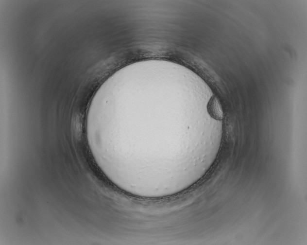 X0000110980026200907101419