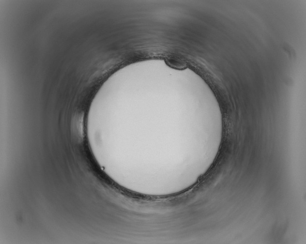 X0000110980028200907101419