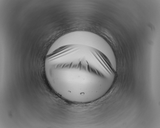 X0000110980029200907101419