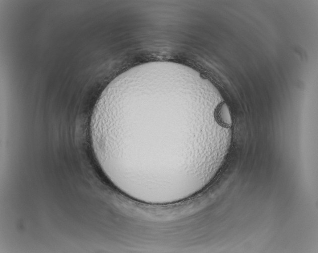 X0000110980030200907101419