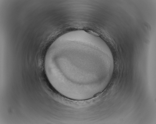 X0000110980031200907101419