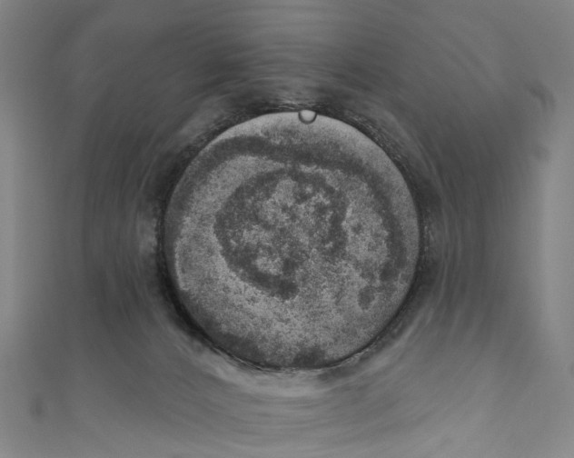 X0000110980032200907101419