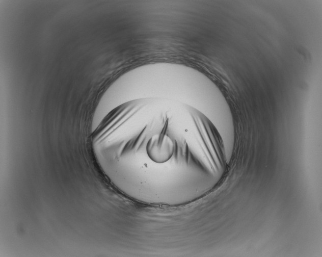 X0000110980033200907101419