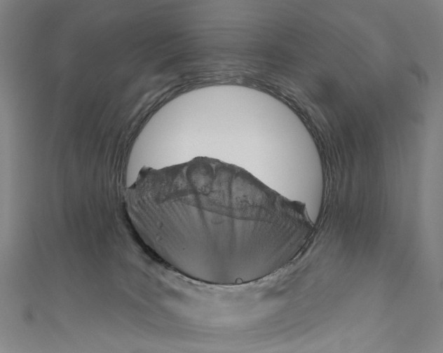 X0000110980035200907101419