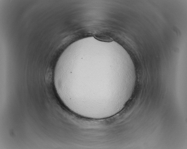 X0000110980036200907101419