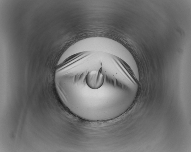 X0000110980037200907101419