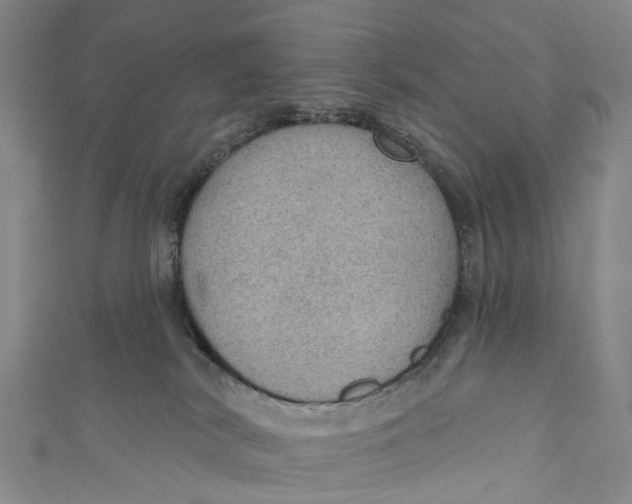 X0000110980038200907101419