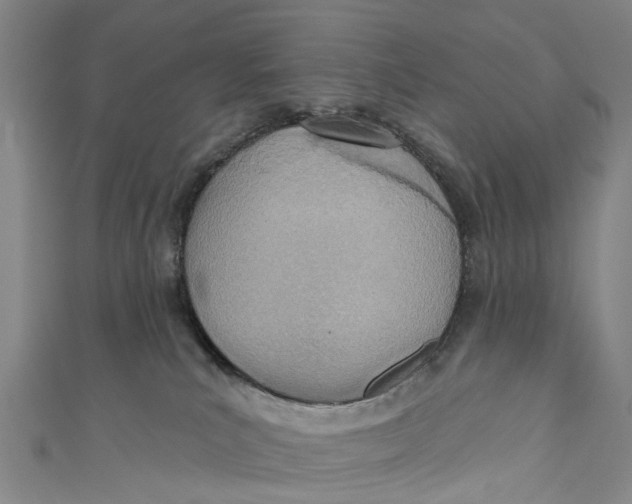 X0000110980039200907101419