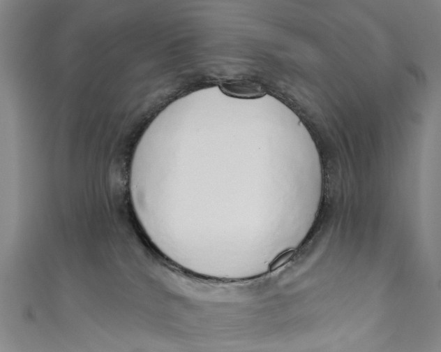 X0000110980040200907101419