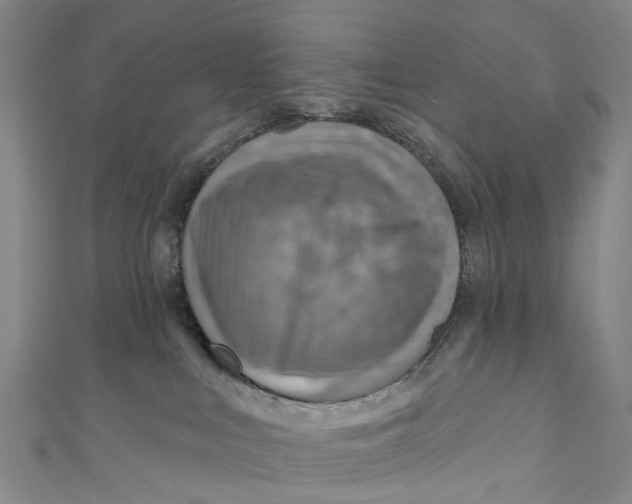 X0000110980043200907101419