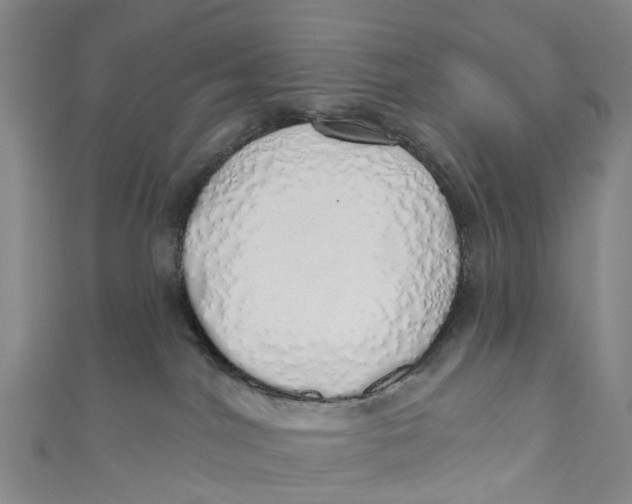 X0000110980044200907101419