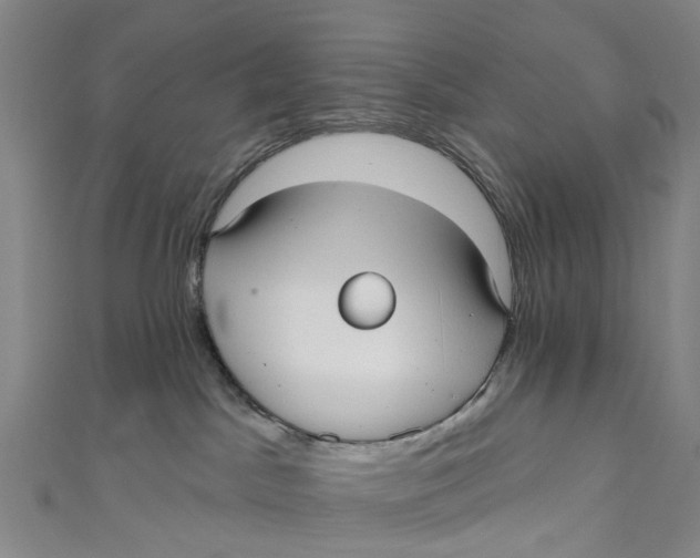 X0000110980045200907101419