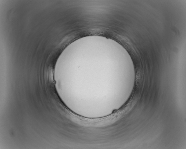 X0000110980046200907101419