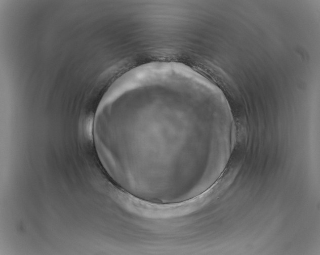 X0000110980047200907101419