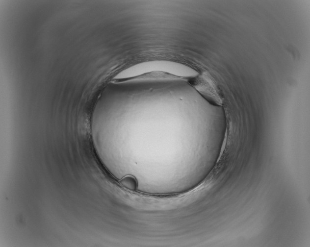 X0000110980048200907101419