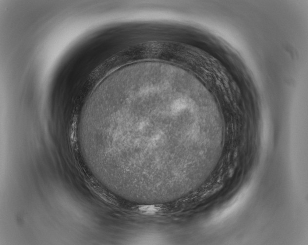 X0000110980050200907101418