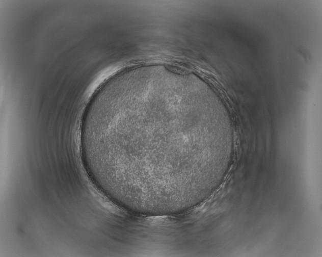 X0000110980054200907101418