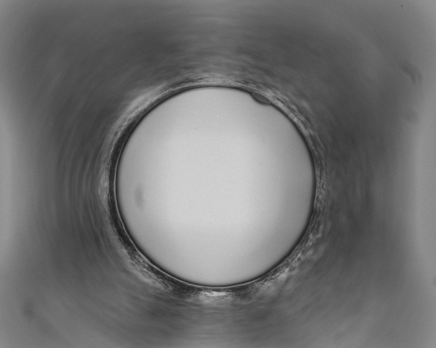 X0000110980055200907101418