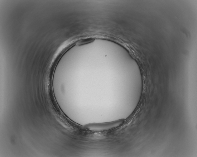 X0000110980056200907101418