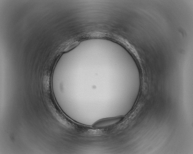 X0000110980057200907101418