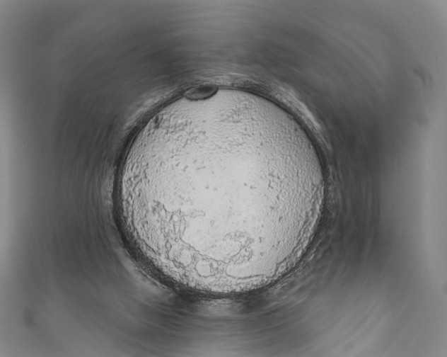 X0000110980058200907101418