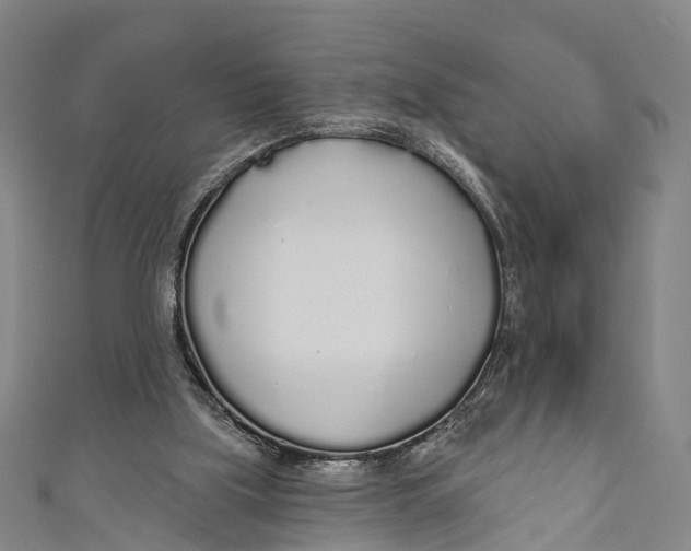 X0000110980059200907101418