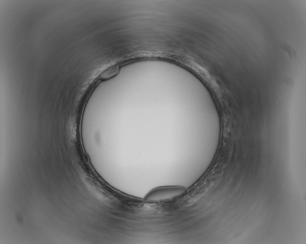 X0000110980060200907101418