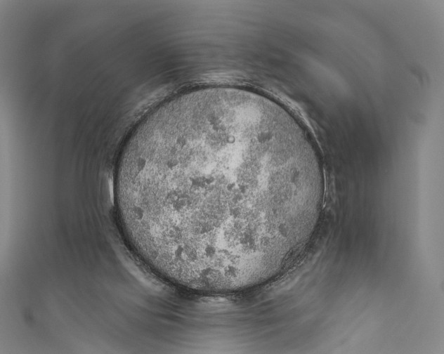 X0000110980061200907101418