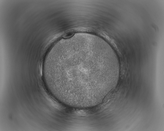 X0000110980062200907101418