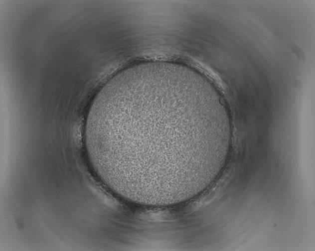 X0000110980065200907101418