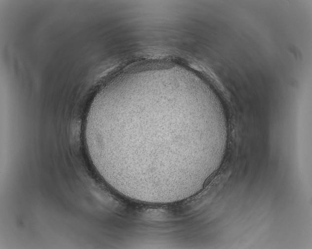 X0000110980066200907101418