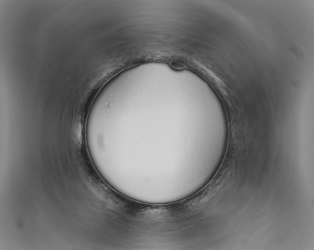 X0000110980067200907101418