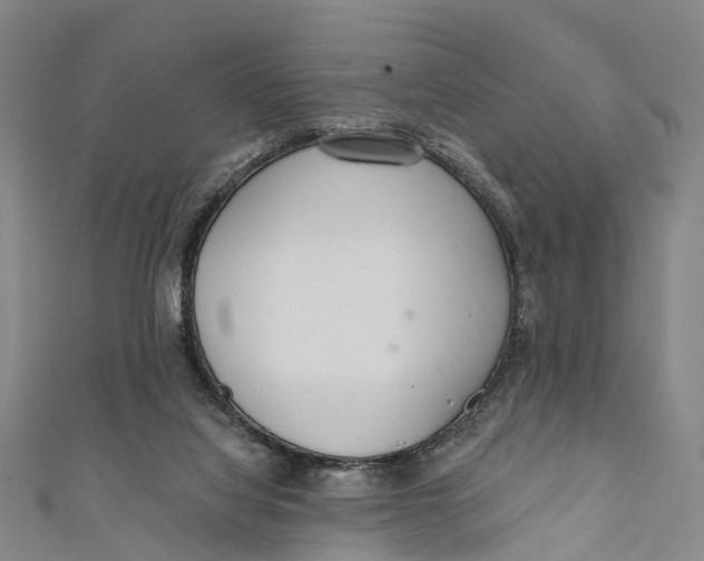 X0000110980068200907101418