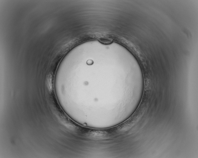 X0000110980069200907101418