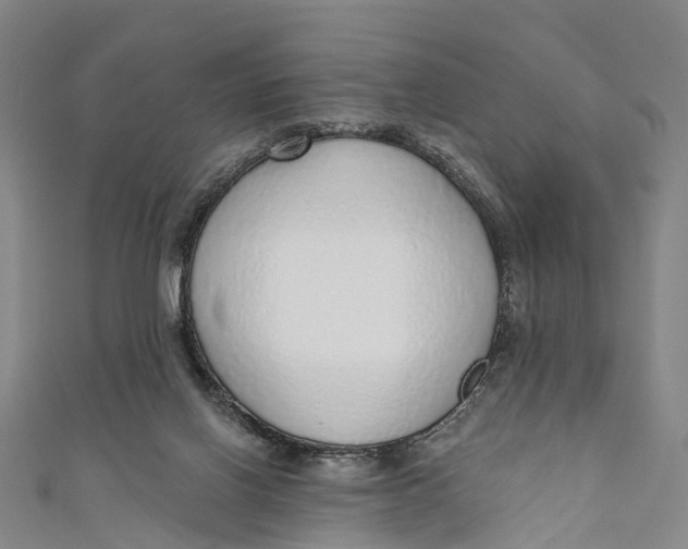 X0000110980070200907101418