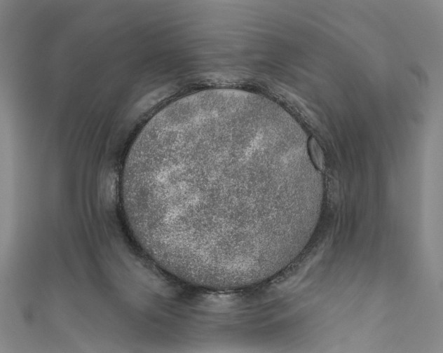 X0000110980071200907101418